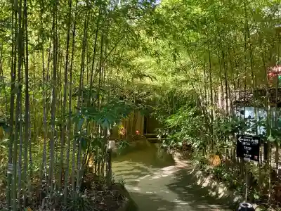 來宮神社(静岡県)