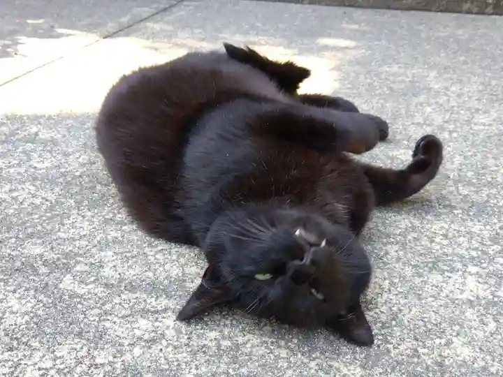 正覚院(石川県)