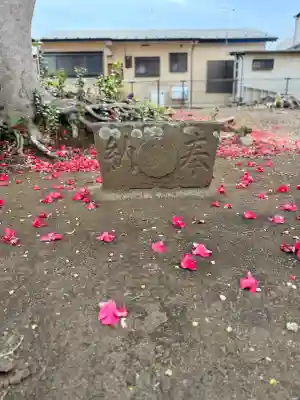 上矢部薬師堂の{uncategorized: "未分類", other: "その他", undefined: "問題あり", building: "その他建物", grave: "お墓", sacred_gate: "鳥居", guardian: "狛犬", statue: "像", buddha: "仏像", history: "歴史", nature: "自然", garden: "庭園", animal: "動物", pagoda: "塔", temizu: "手水舎", mountain_gate: "山門・神門", sanctuary: "本殿・本堂", subordinate: "末社・摂社", art: "芸術", scenery: "景色", jizo: "地蔵", ema: "絵馬", goshuin: "御朱印", omikuji: "おみくじ", items: "授与品その他", amulet: "お守り", goshuincho: "御朱印帳", eats: "食事", festival: "お祭り", votive_dance: "神楽", shichigosan: "七五三参", wedding: "結婚式", experience: "体験その他", initially: "初詣", around: "周辺", anti_infection: "感染症対策"}