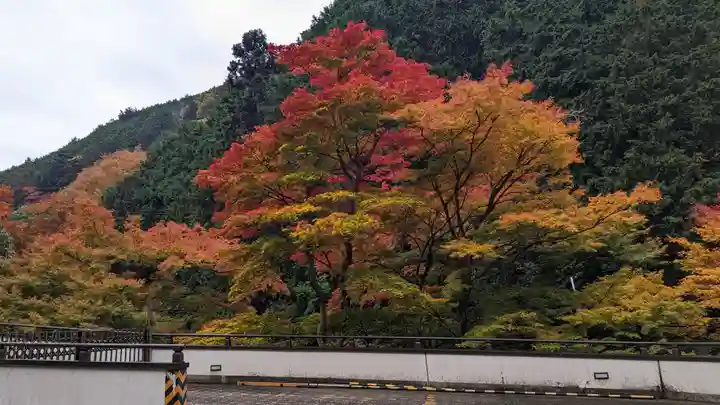 善峯寺(京都府)