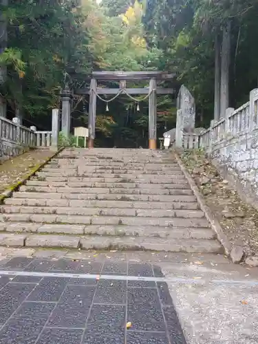 戸隠神社宝光社の鳥居