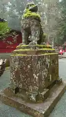 箱根神社の狛犬