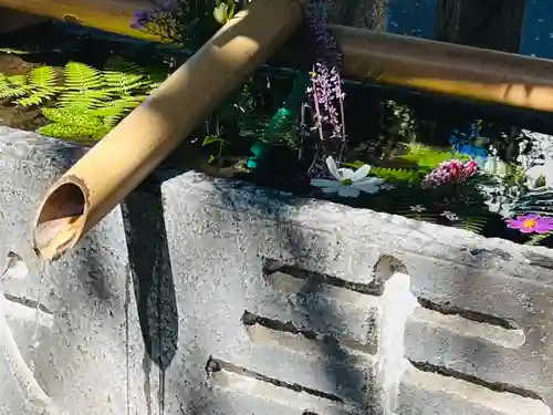 元町厳島神社の手水舎