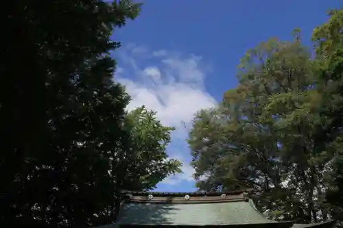 熊野福藏神社の景色