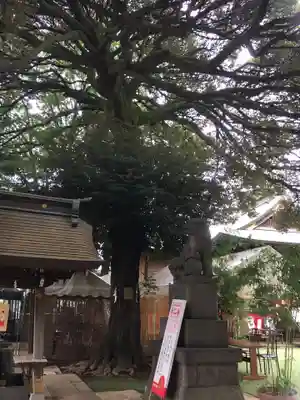 太子堂八幡神社の狛犬