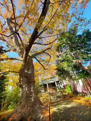愛宕神社(福島県)