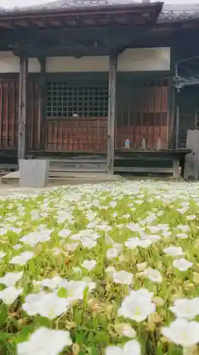 菩提寺のその他建物