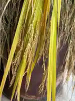 大鏑神社の食事