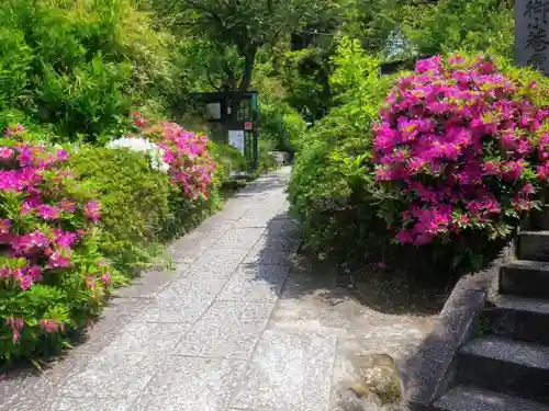 妙法寺の庭園