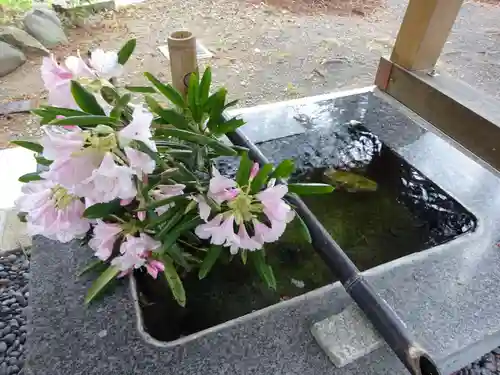 高司神社〜むすびの神の鎮まる社〜の手水