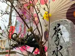 札幌諏訪神社(北海道)