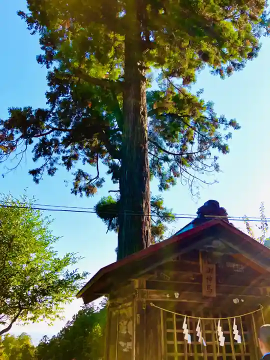 太平山神社(栃木県)