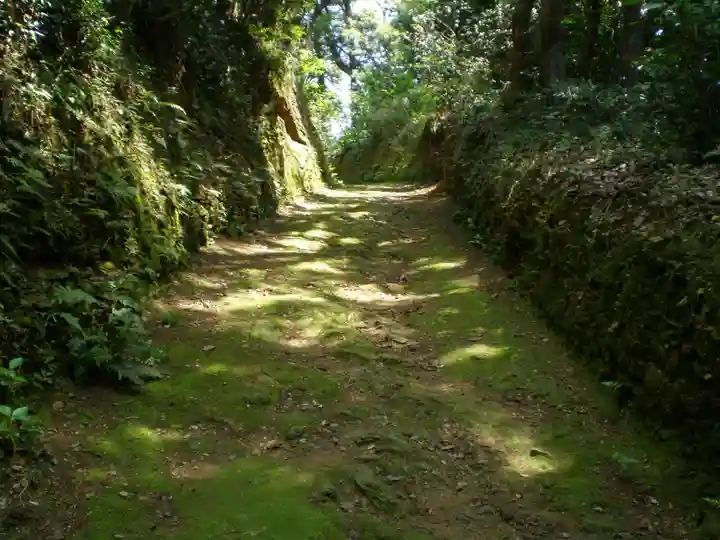 伊射波神社の自然