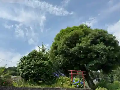 村山浅間神社(静岡県)