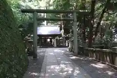 金刀比羅宮の鳥居