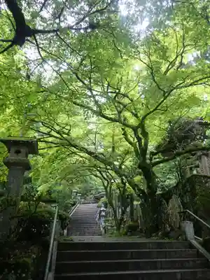 最乗寺（道了尊）(神奈川県)