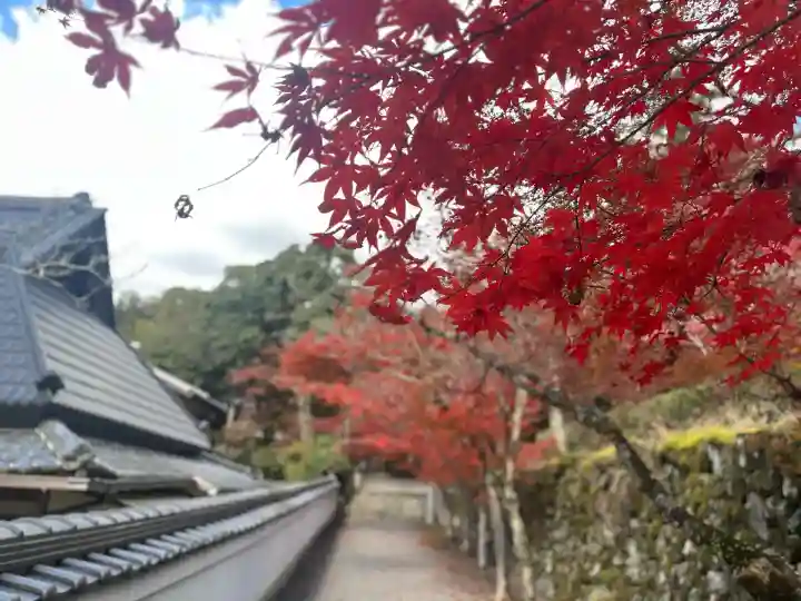 神峯山寺(大阪府)