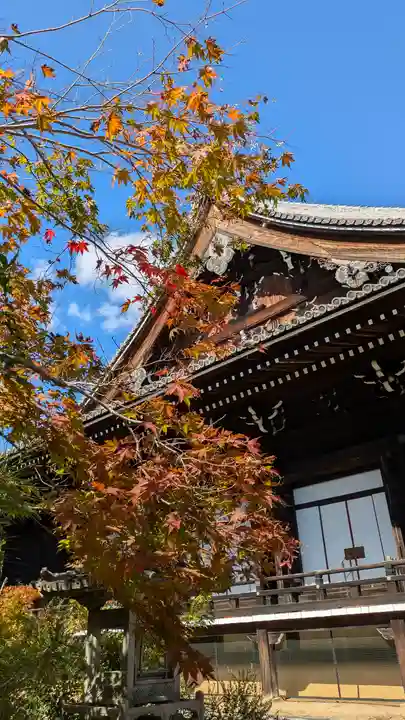 光明寺(粟生光明寺)(京都府)