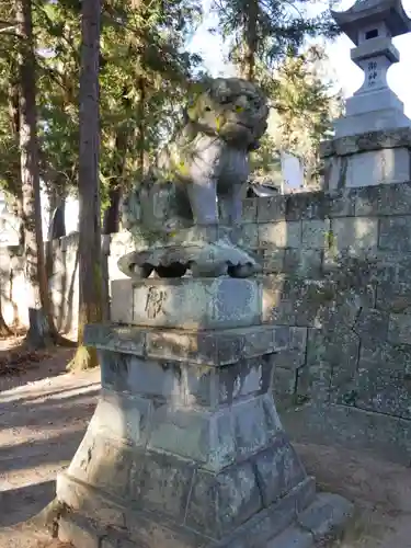 大井俣窪八幡神社の狛犬