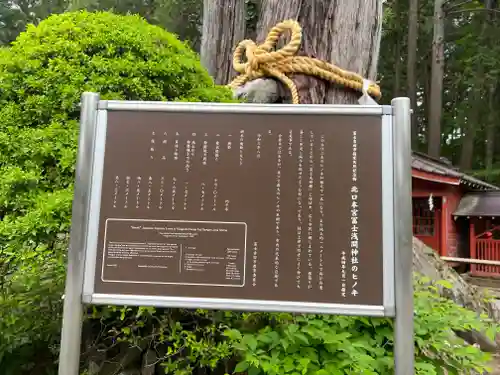 北口本宮冨士浅間神社(山梨県)