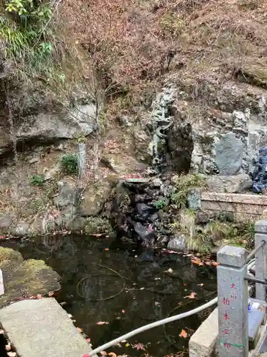 大山寺(神奈川県)