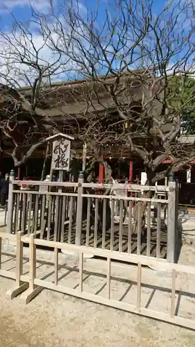 太宰府天満宮の自然