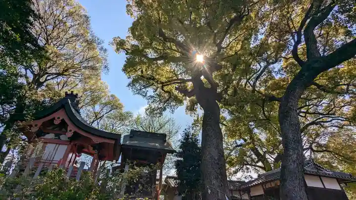 常磐神社(京都府)