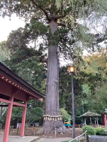 志波彦神社・鹽竈神社(宮城県)