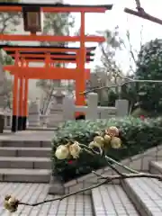 銀世界稲荷神社の自然