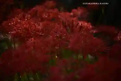 横浜　西方寺(神奈川県)