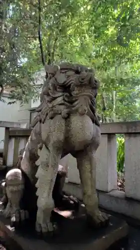 渋谷氷川神社の狛犬