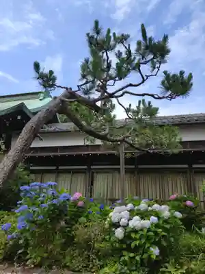 本郷氷川神社(東京都)