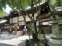 白峯神宮(京都府)