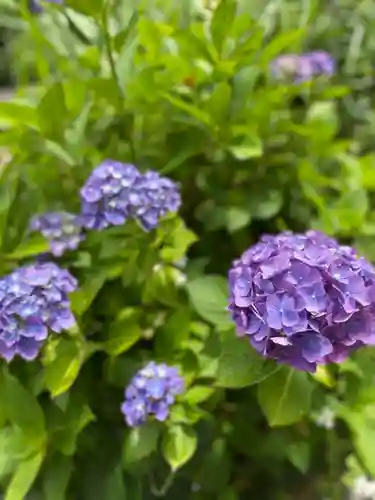 御霊神社の自然