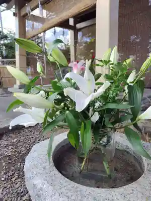 厚別神社(北海道)