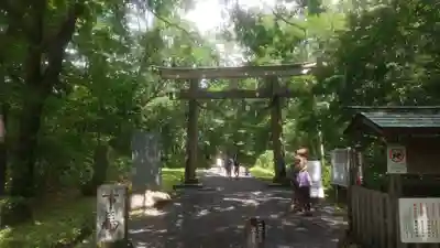 戸隠神社九頭龍社(長野県)