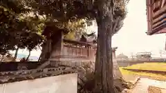 春日神社(奈良県)