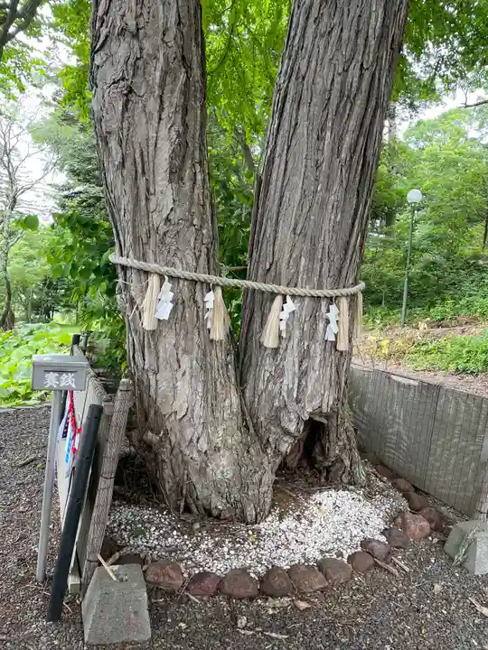 浦幌神社・乳神神社の自然