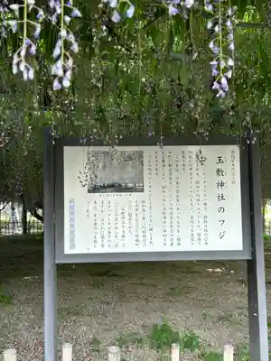 玉敷神社(埼玉県)