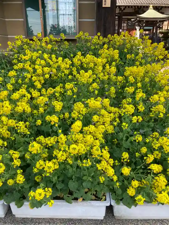 興徳寺(大阪府)