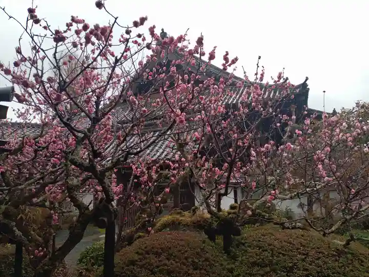 穴太寺(京都府)