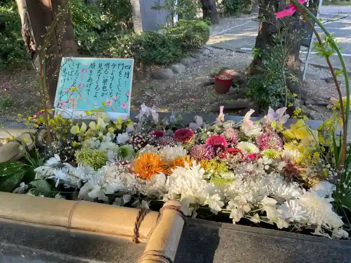 狭山八幡神社の{uncategorized: "未分類", other: "その他", undefined: "問題あり", building: "その他建物", grave: "お墓", sacred_gate: "鳥居", guardian: "狛犬", statue: "像", buddha: "仏像", history: "歴史", nature: "自然", garden: "庭園", animal: "動物", pagoda: "塔", temizu: "手水舎", mountain_gate: "山門・神門", sanctuary: "本殿・本堂", subordinate: "末社・摂社", art: "芸術", scenery: "景色", jizo: "地蔵", ema: "絵馬", goshuin: "御朱印", omikuji: "おみくじ", items: "授与品その他", amulet: "お守り", goshuincho: "御朱印帳", eats: "食事", festival: "お祭り", votive_dance: "神楽", shichigosan: "七五三参", wedding: "結婚式", experience: "体験その他", initially: "初詣", around: "周辺", anti_infection: "感染症対策"}