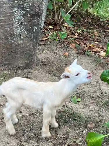 楽法寺（雨引観音）(茨城県)