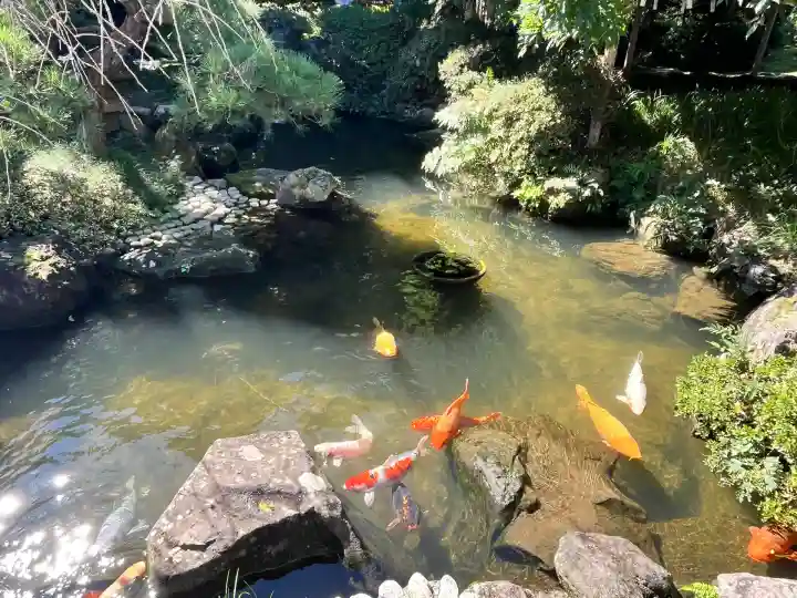 金蛇水神社(宮城県)