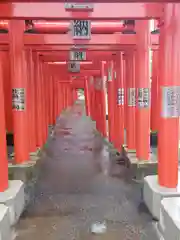 小泉稲荷神社の鳥居