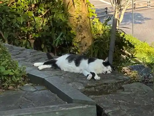 王子神社(徳島県)