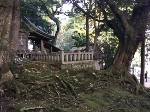 赤猪岩神社の建物その他