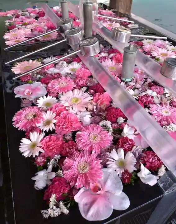 成田山深川不動堂(新勝寺東京別院)(東京都)