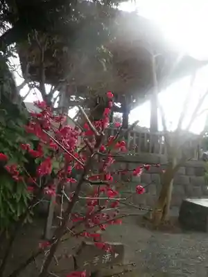 本覚寺のその他建物