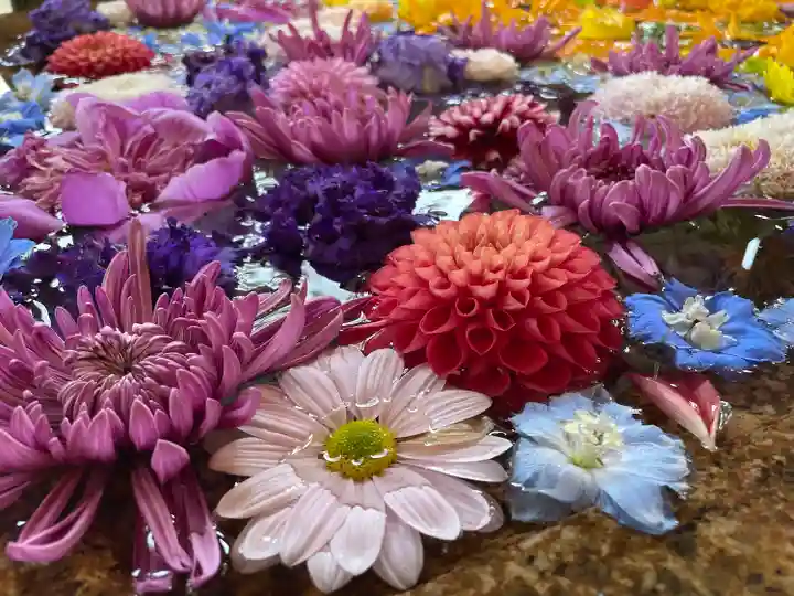 鶴岡八幡宮(神奈川県)